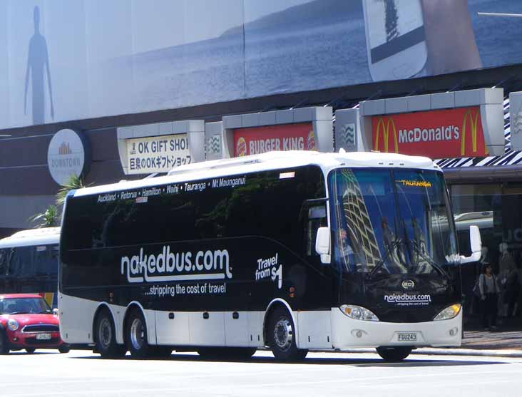 Reesbys BCI Explorer 96 Nakedbus